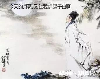 如何理解“夜雨何时听萧瑟”