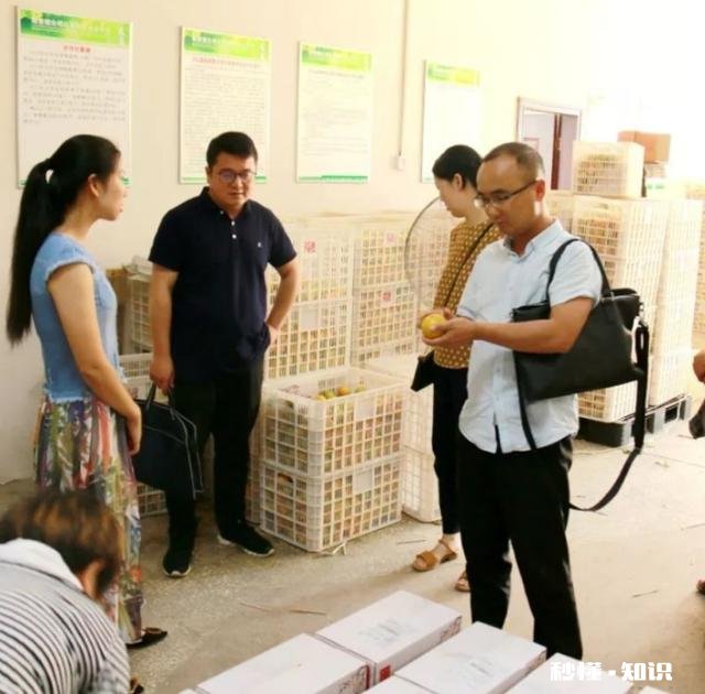 农村的孩子长大后，自己创业成立了公司，父母会有什么反应