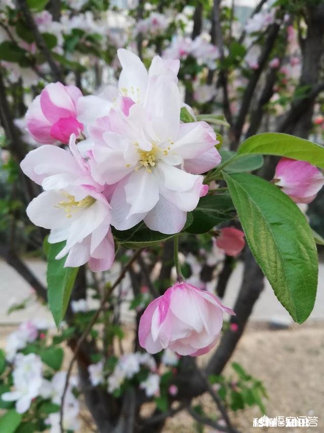 如果时间可以到流，你还会选择现在的老公/老婆吗