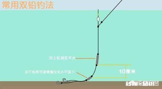 双铅皮钓鱼的方法