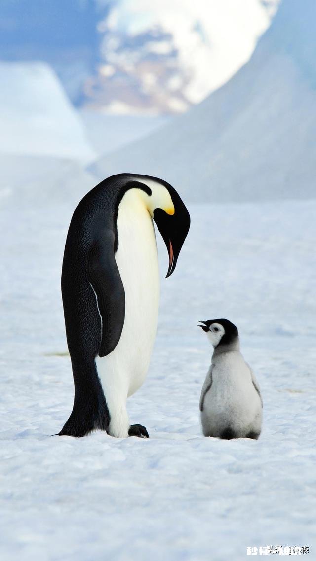 充电鱼漂好用吗