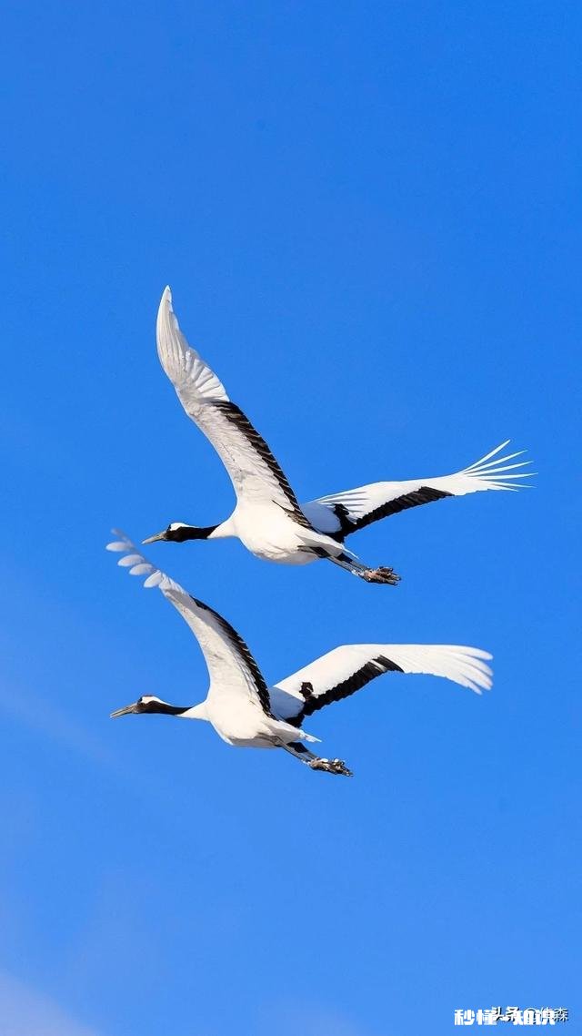 充电鱼漂好用吗