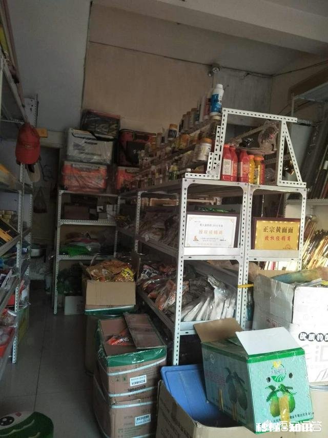 在乡镇开一家渔具店怎么样