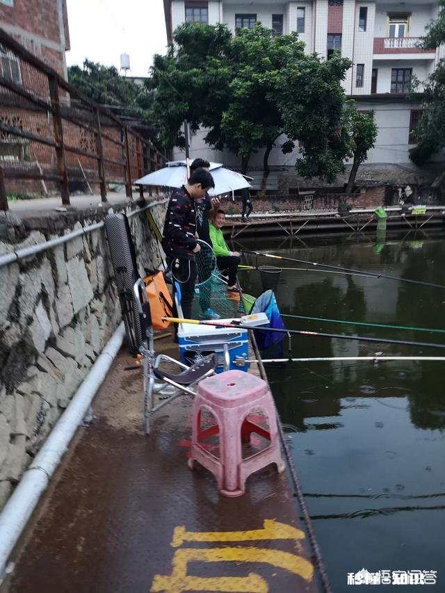 在乡镇开一家渔具店怎么样