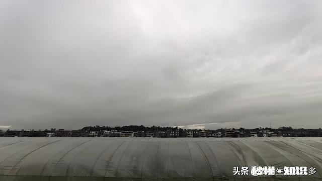 疫情之下，个体农民工能干点啥