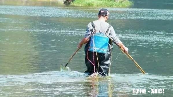 水库野钓，白条鱼稀少怎样才能快速诱过来用什么饵料最好