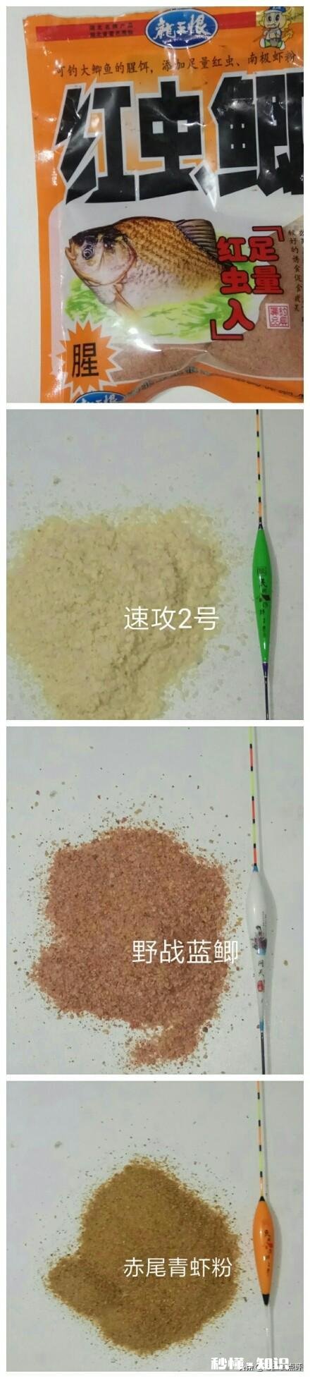 水库野钓，白条鱼稀少怎样才能快速诱过来用什么饵料最好