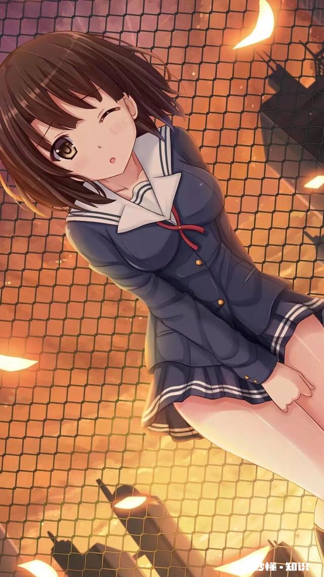 如果有一次实现幻想的机会，你会选择变成哪个动漫角色