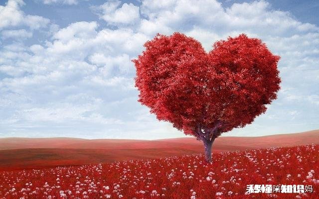 孩子缺乏“自我意识”的背后，家长该如何正确引导