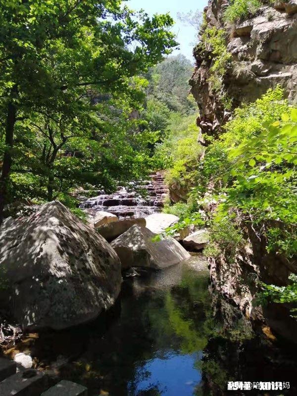 孩子缺乏“自我意识”的背后，家长该如何正确引导