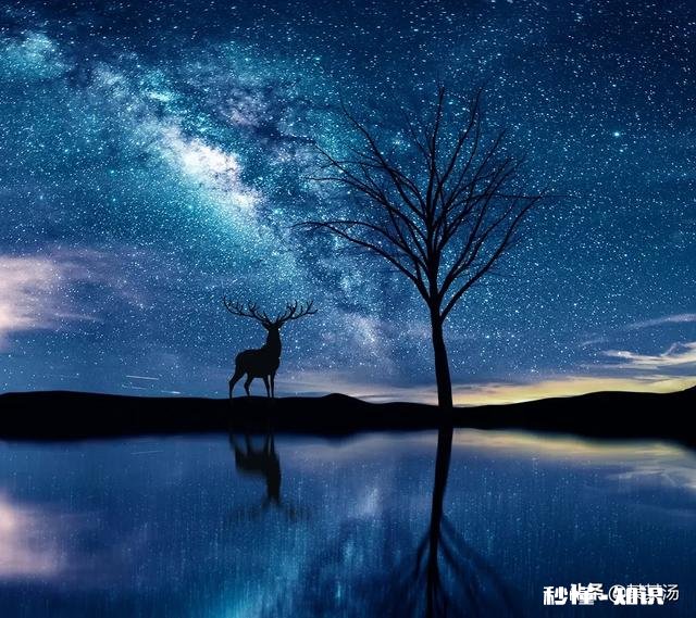 受了委屈无法释怀怎么办