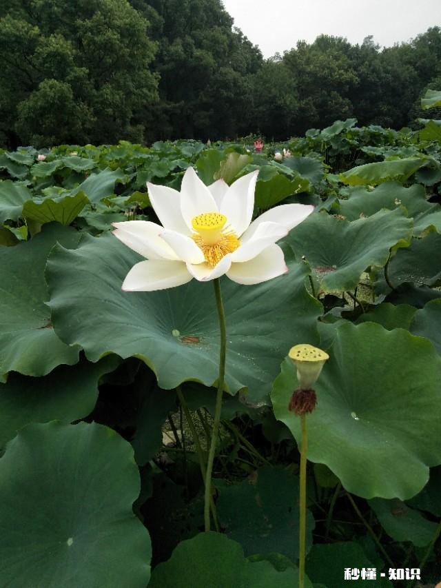 受了委屈无法释怀怎么办