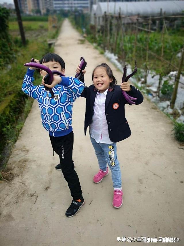 为什么有些人面对面相处的时候没什么话题聊，一旦分开用微信聊天就可以聊个不停