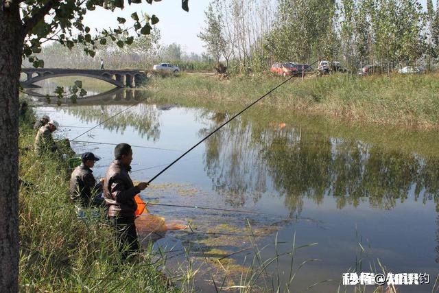 铅坠是离底好还是躺地好