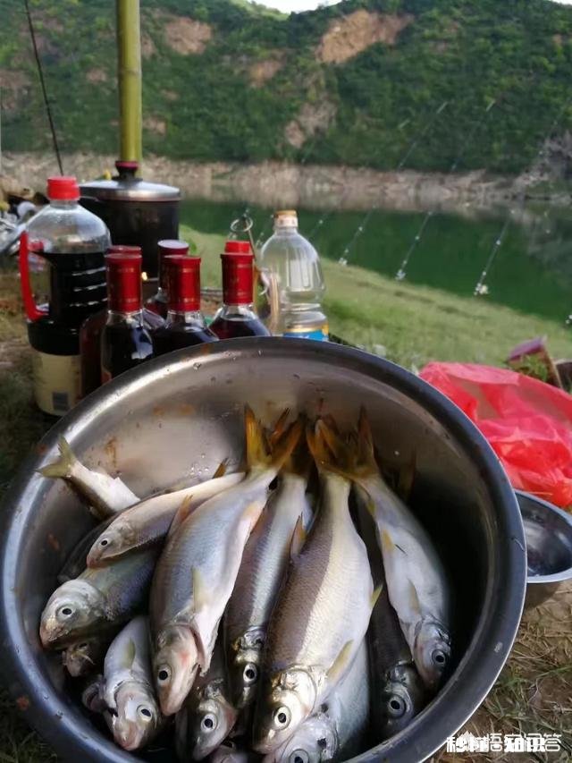 铅坠是离底好还是躺地好