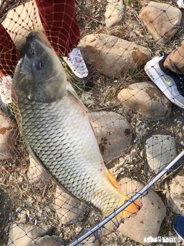 铅坠是离底好还是躺地好