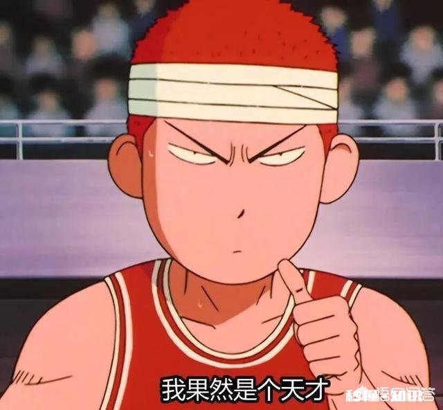 问什么旅行青蛙只要蛙儿子，没有蛙女儿