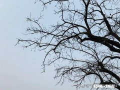 如果你爱的人经常出去喝酒，没时间陪你，也不打算抽多余的时间陪你，你打算怎么办