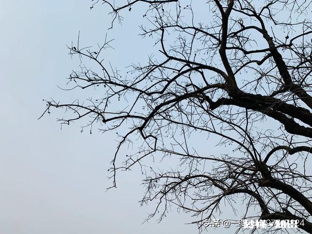 如果你爱的人经常出去喝酒，没时间陪你，也不打算抽多余的时间陪你，你打算怎么办