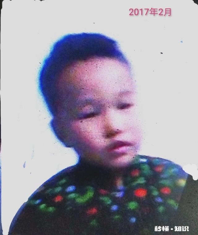 小学语文拼音先教声明还是韵母