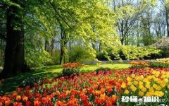 请问你的感情生活觉得幸福吗