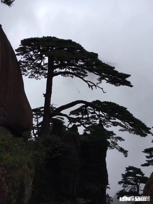 我本人是绍兴的,去哪一周自驾游最合适