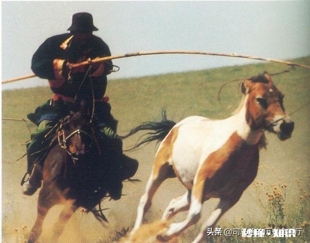 魏国占有中国北方,吴国占了南方,为什么魏国实力比吴国强太多