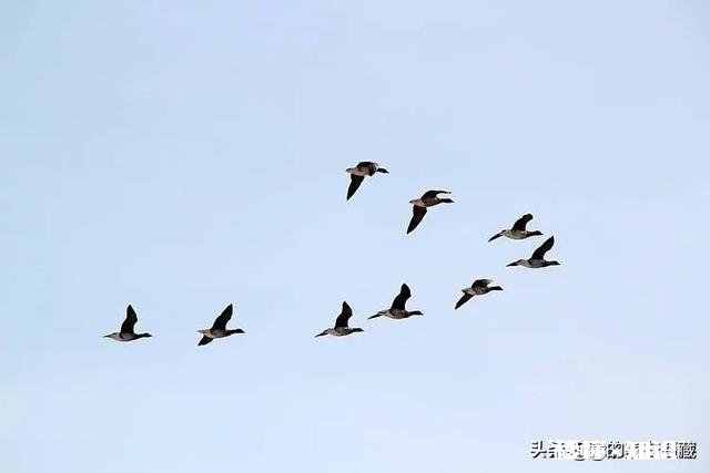 初次买机票比经常买票的便宜吗