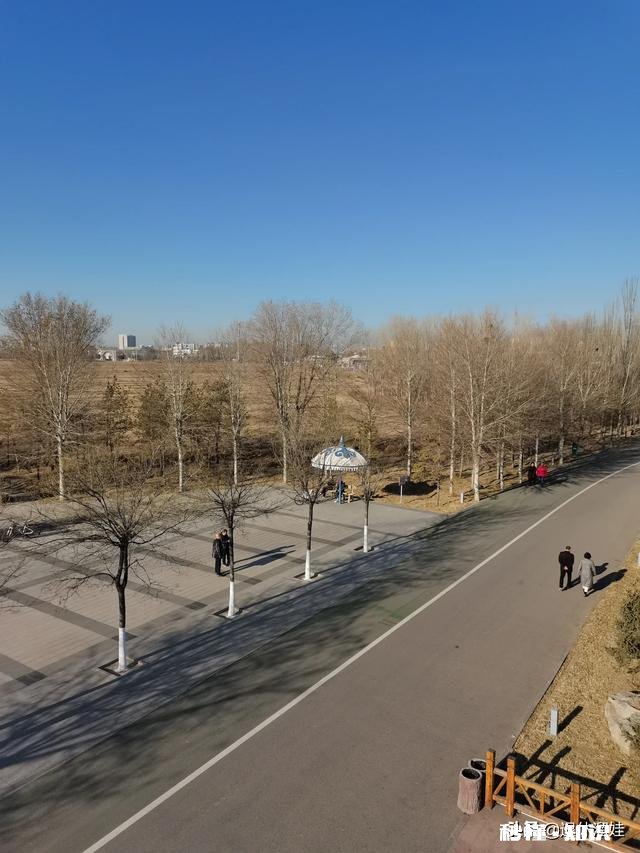 当父母身体不舒服时作为子女应该怎么办才能让他们感觉温暖