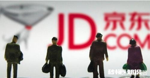 京东店铺交服务费，但是店铺不开可以吗