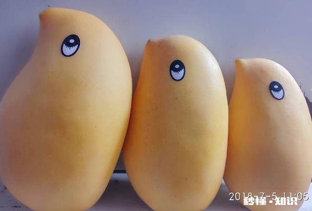 一个有很多缺点但又对你很好的男人，你们会选择离开吗