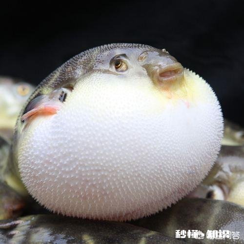 恐怖 你们那边有什么特殊的美食吃起来什么感觉