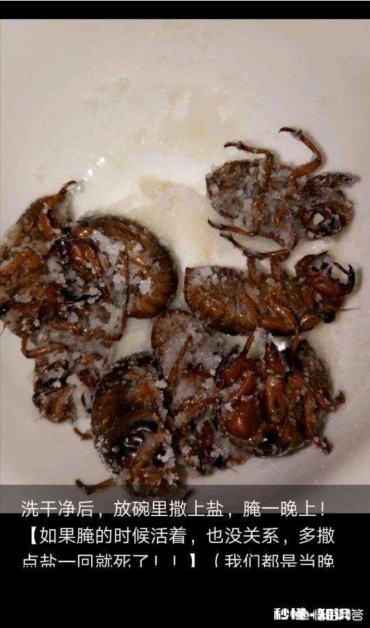 恐怖 你们那边有什么特殊的美食吃起来什么感觉