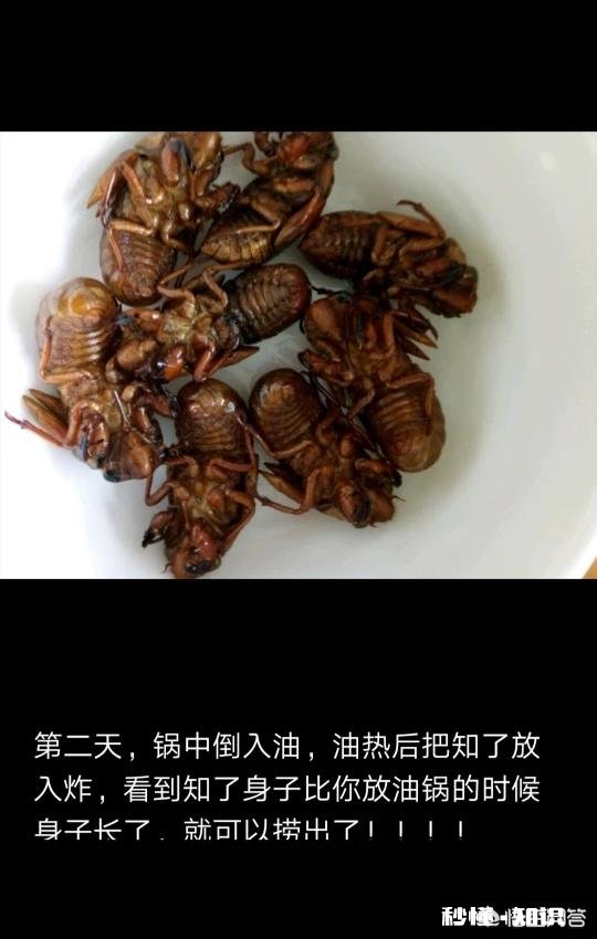 恐怖 你们那边有什么特殊的美食吃起来什么感觉