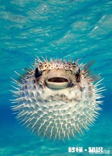 恐怖 你们那边有什么特殊的美食吃起来什么感觉