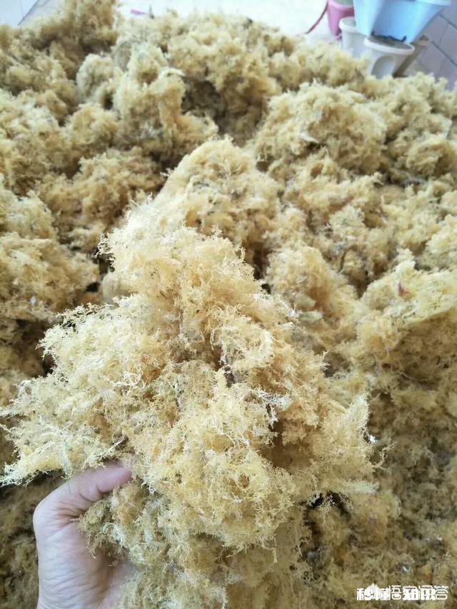 恐怖 你们那边有什么特殊的美食吃起来什么感觉