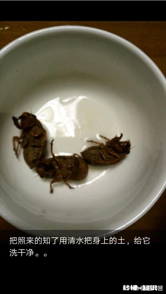 恐怖 你们那边有什么特殊的美食吃起来什么感觉