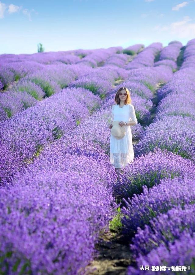 到新疆旅游哪个季节风景最好