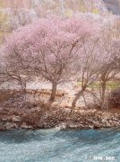 到新疆旅游哪个季节风景最好