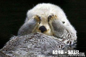 投资交易中如何去加强交易计划的执行力