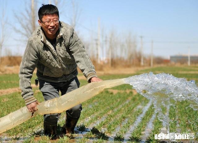 小麦什么时候浇冻水好
