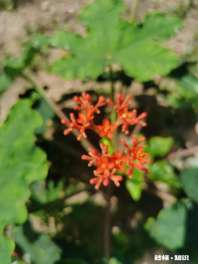 俄乌冲突，谁是受益者