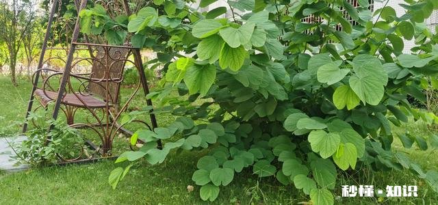 俄乌冲突，谁是受益者