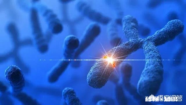 人类是否处于进化中进化的方向是什么呢