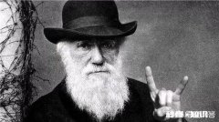 人类是否处于进化中进化的方向是什么呢