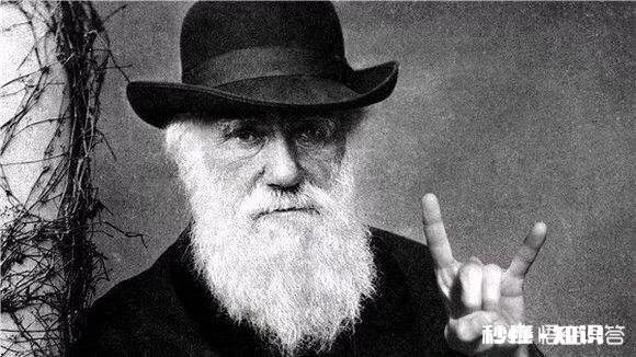 人类是否处于进化中进化的方向是什么呢