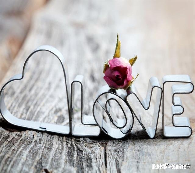 睡觉前除了晚安，还可以说哪些好的话呢