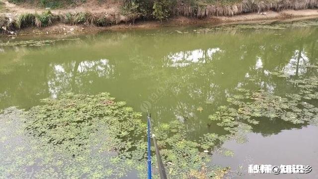 过去装备简陋但钓鱼很快乐，现在装备好了却找不到以前的快乐感觉，为什么