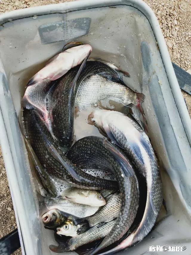 过去装备简陋但钓鱼很快乐，现在装备好了却找不到以前的快乐感觉，为什么