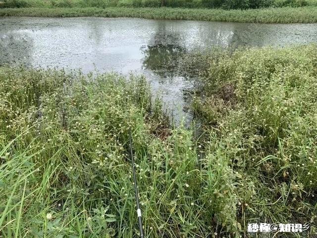 过去装备简陋但钓鱼很快乐，现在装备好了却找不到以前的快乐感觉，为什么